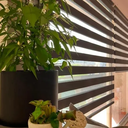 Apartament La Isla House 5 Minuti Centro-spiaggia *